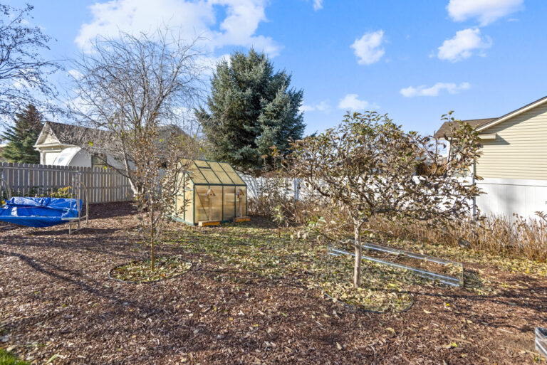 A doghouse with dry leaves scattered in the open area, and a small tree surrounded by a fence